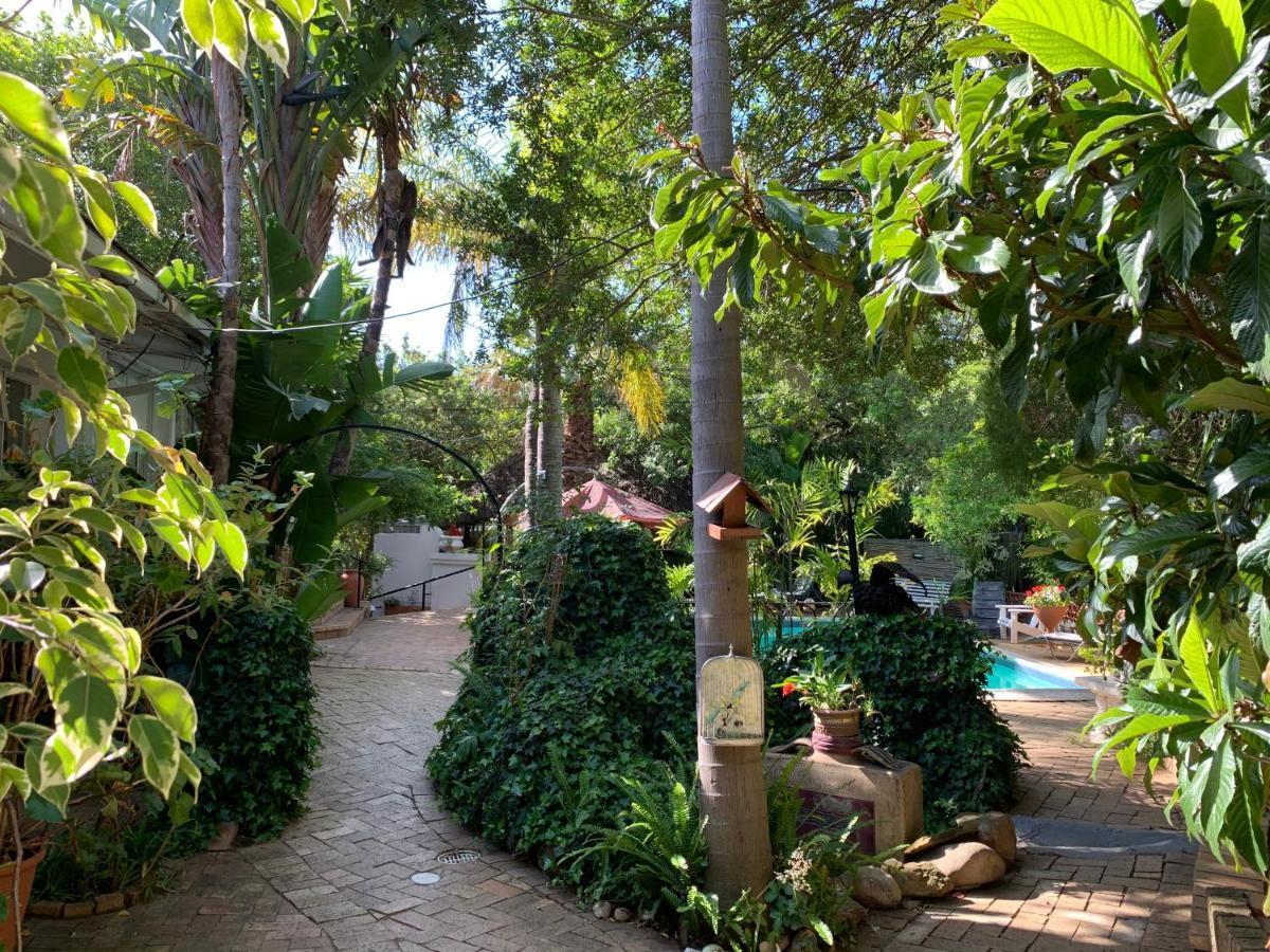 The Little Hideaway Guesthouse Stellenbosch Exteriör bild