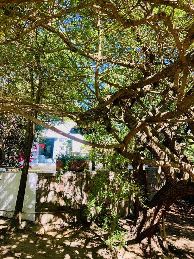 The Little Hideaway Guesthouse Stellenbosch Exteriör bild