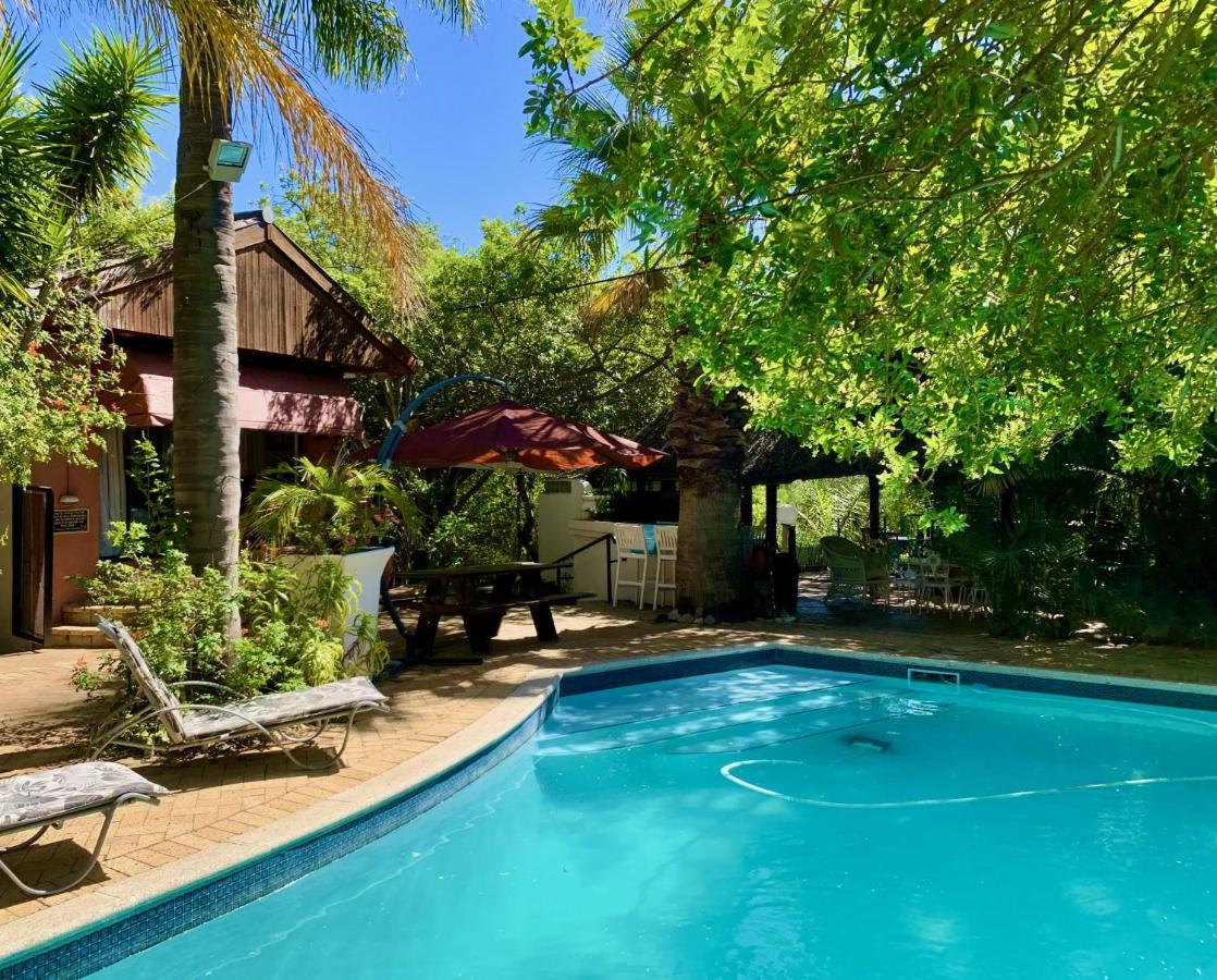 The Little Hideaway Guesthouse Stellenbosch Exteriör bild