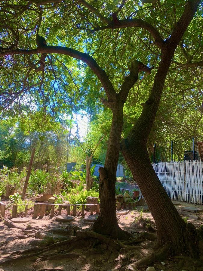 The Little Hideaway Guesthouse Stellenbosch Exteriör bild