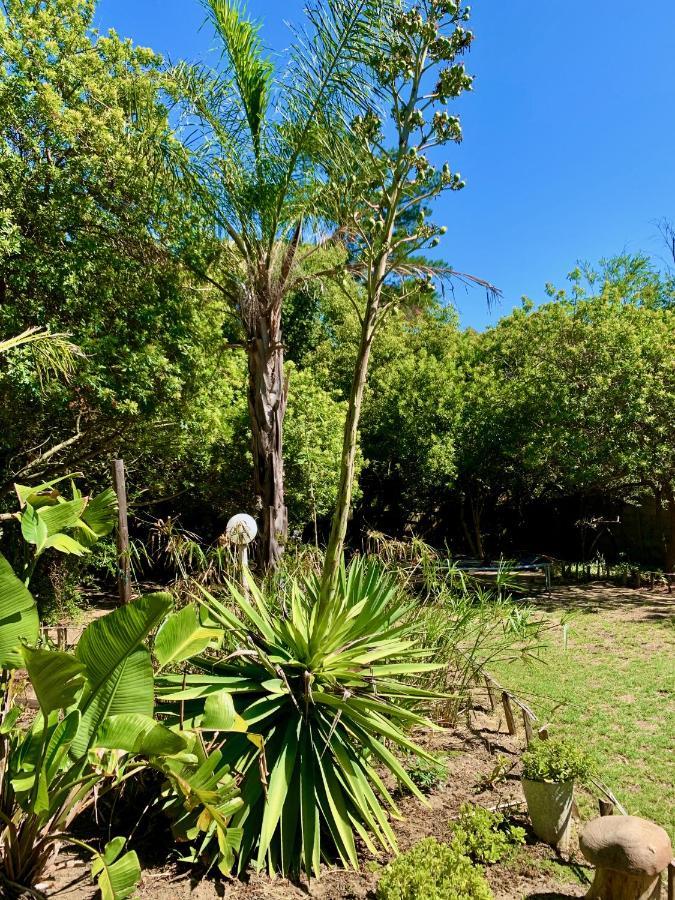 The Little Hideaway Guesthouse Stellenbosch Exteriör bild
